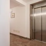 Lory 5 卡纳泽伊